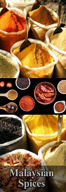 Malaysian Spices